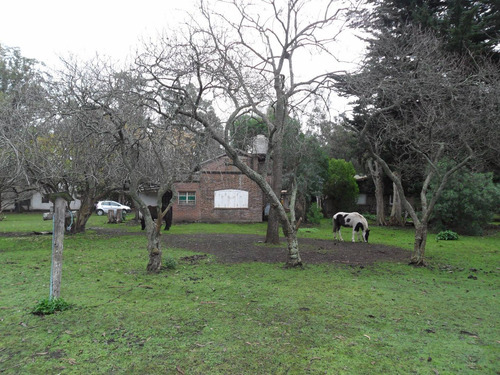Imagen 10 de 30 de Latorre Prop Vende Campo De 4 Hectareas,cerca De La Ruta 11,del Mar Y Playas,varios Usos,hermosa Arboleda