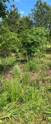 Imagen 5 de 23 de La Casa De Los Sueños En Venta!!