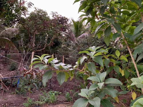 Imagem 15 de 16 de Casa Com 3 Dormitórios À Venda, 119 M² Por R$ 430.000,00 - Jardim Vila Rica - Tiradentes - Volta Redonda/rj - Ca0100