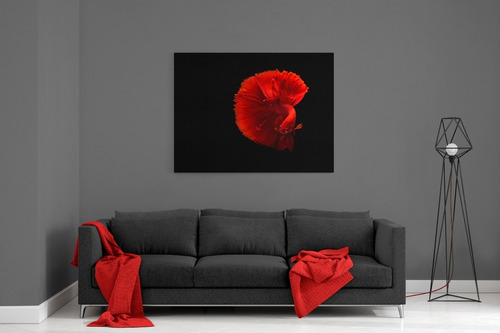 Cuadro Decorativo Animal Pez Betta Rojo En Canvas 90x60 Cm