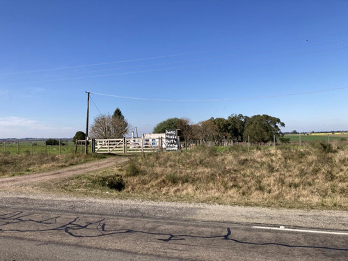 Imagen 16 de 18 de Chacra De 6 Hectáreas Con Vivienda Frente A Ruta 7