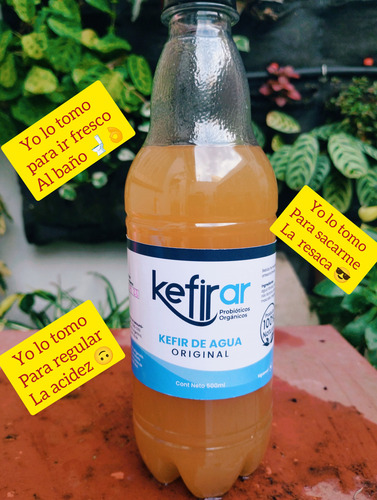 Tíbicos Nódulos De Kefir De Agua