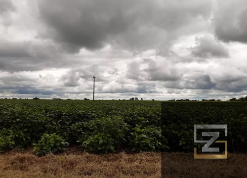 Campo En Venta De 103 Has Ubicado En General Deheza, Córdoba.