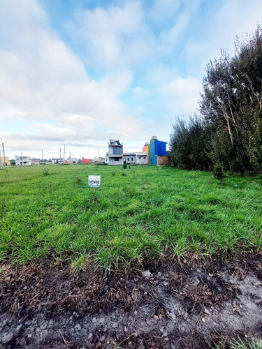 Lote De 405 M² En Camet Norte