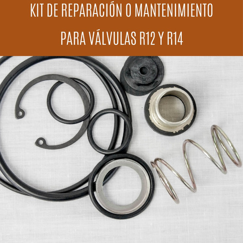 Kit De Reparacion Valvulas Freno R12 R14 Chuto Aire Reparar
