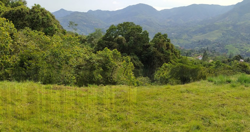 Lote En Parcelacion De Barbosa, Con Excelente Vista