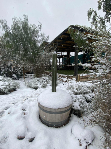 Agosto $75000 Cabañas De Montaña Mendoza