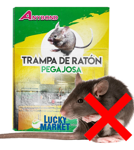 Trampa Para Ratas Ratones Pericotes Pegamento Adhesivo X6