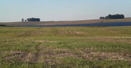 Campo Agrícola El Lago Ref. 1343