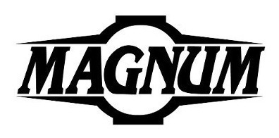 Relógio Masculino Magnum Analógico Ma33399z Marrom Couro