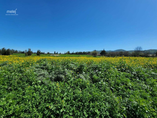 Venta Terrenos En Parcelación Los Laureles, Limache