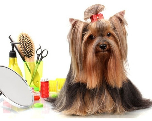 Imagen 10 de 10 de Cortadora Profesional Pelo Peladora Cabello Personas Canina