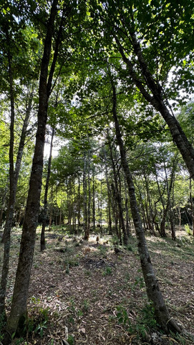 Parcela Urbana En Venta, Gorbea