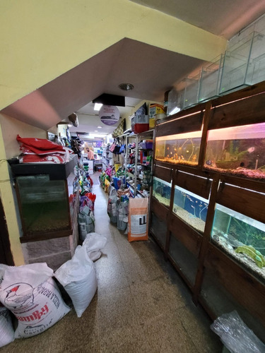 Imagen 7 de 14 de Excelente Local Comercial En Venta - Lote Apto Construcción - Mataderos - Escalada 2211