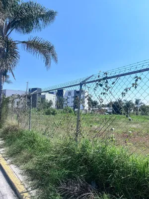 Terreno en renta