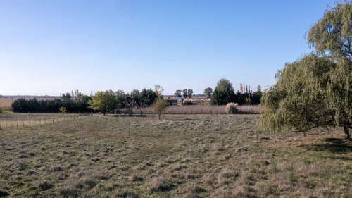 6 Terrenos De 40m X 40m En Villa Loguercio