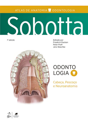 Sobotta - Atlas De Anatomia - Odontologia - Cabeça, Pescoço E Neuroanatomia, De Paulsen, Friedrich. Editorial Guanabara, Capa Mole, Edição 1 Em Português, 2024