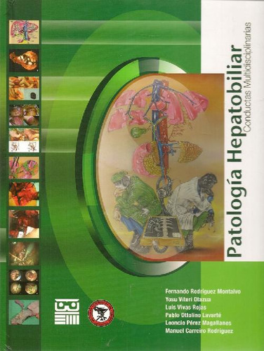 Libro Patología Hepatobiliar De Pablo Rafael Ottolino Lavart