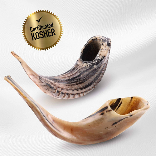Imagen 5 de 5 de Cuerno De Cabra Shofar Con Punta Curva Y Rugosa