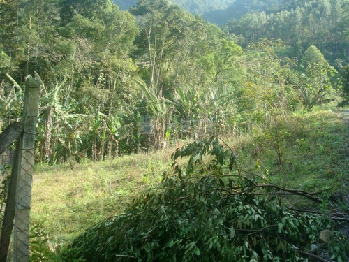 Imagem 28 de 30 de Chácara À Venda No Bairro Lageado Alto - Botuverá/sc - 1991c