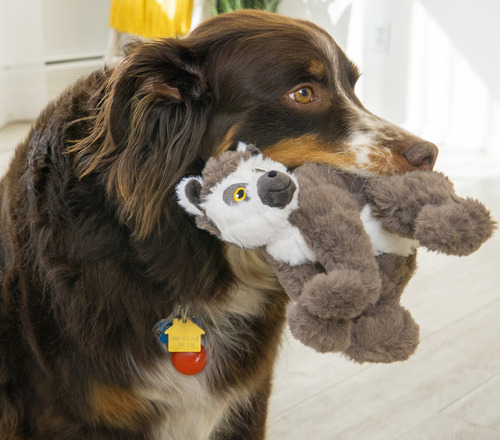 Juguete de peluche mediano Lemure de Kong Scampers para perros, color gris