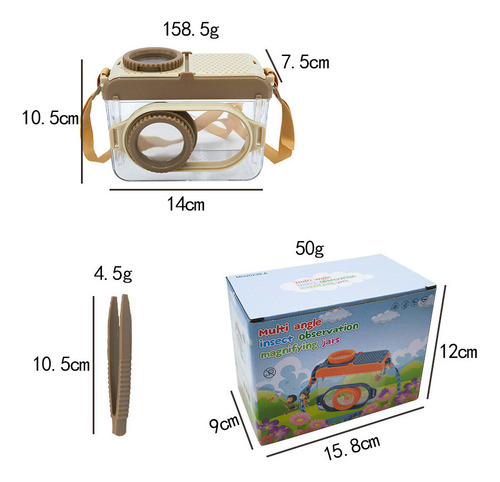 Caja De Observación De Insectos Al Aire Libre