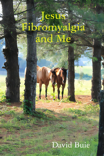 Jesus Fibromyalgia And Me, De Buie, David. Editorial Lulu Pr, Tapa Blanda En Inglés