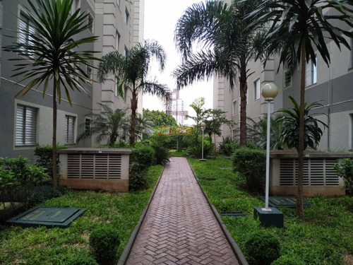Imagem 15 de 15 de Apartamento - Taboao - Ref: 30944 - V-30944