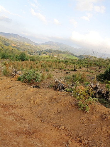 Imagem 2 de 25 de Ll- Vende-se Terreno Com Acesso Para Represa