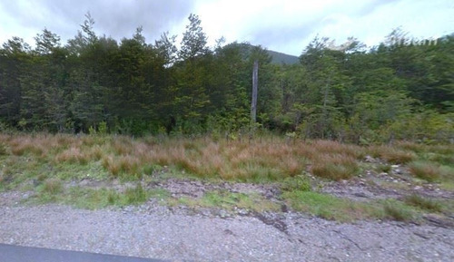 Parcela Con Bosque Nativo Virgen En Venta En Lago Verde