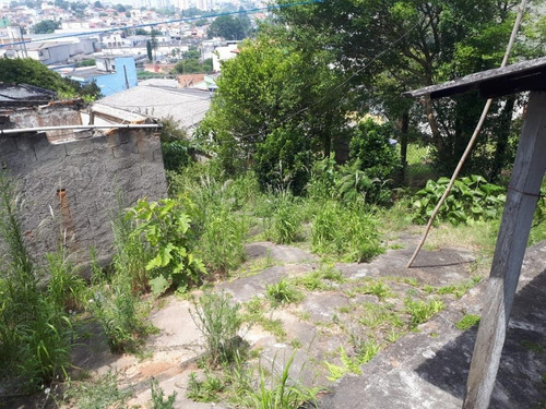 Imagem 3 de 9 de Terreno À Venda, 510 M² Por R$ 1.200.000 - Vila Baeta Neves - São Bernardo Do Campo/sp - Te4110