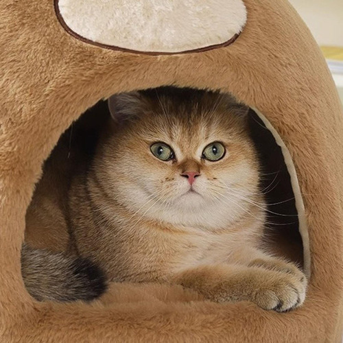 Nido Para Gatos Semicerrado, Cama Para Gatos Para El S