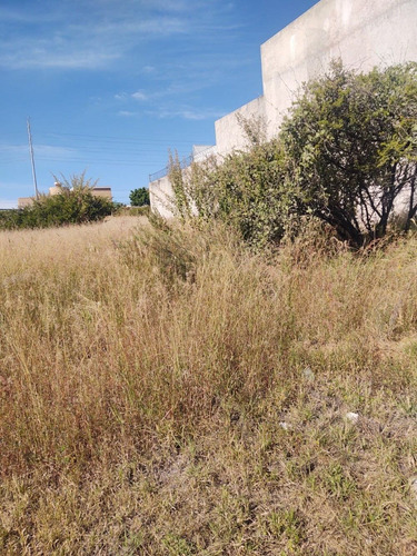 Imagen 5 de 7 de Cañada Del Refugio Vendo, Hermoso Lote Plano