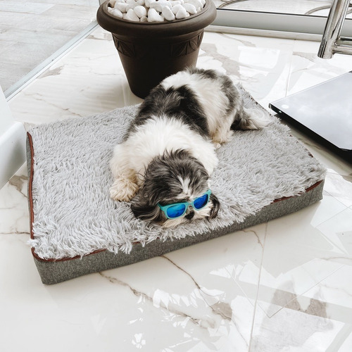 Imagen 1 de 6 de Cama Ortopédica Para Mascotas Medianas