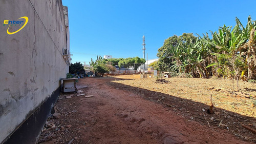 Imagem 11 de 13 de Lote 3000m2 No Saan Quadra 03- Brasilia-df