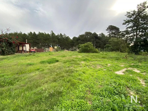 Impecable Terreno En Piedras Del Chileno