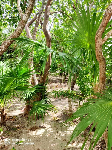 Casa En Isla De Holbox, Lázaro Cárdenas, Q. Roo