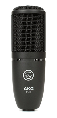 Imagen 1 de 4 de Micrófono AKG P120 condensador  cardioide negro