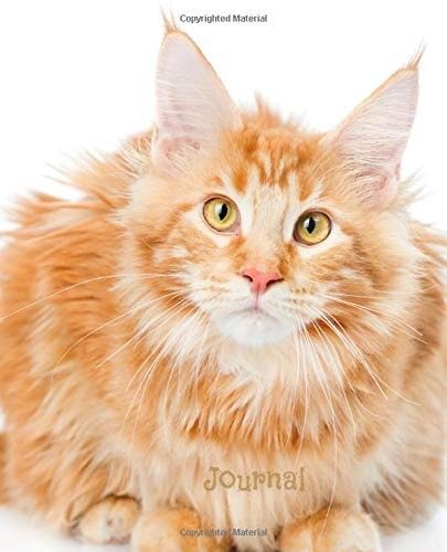 Journal Ginger Maine Coon