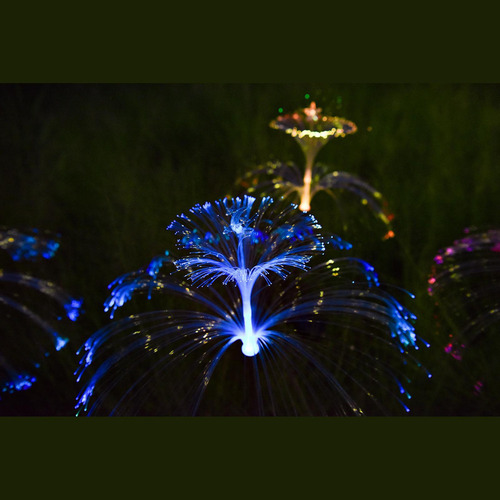 A Lámpara Solar De Medusas, Luces De Paisaje, Y Estrella