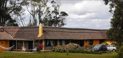 Quinta En Venta De 5 Dormitorios En Jose Ignacio