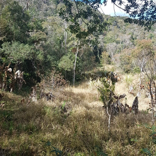 Imagem 9 de 14 de São Lourenço Da Serra/terreno C/riacho/gramado/ref: 05255