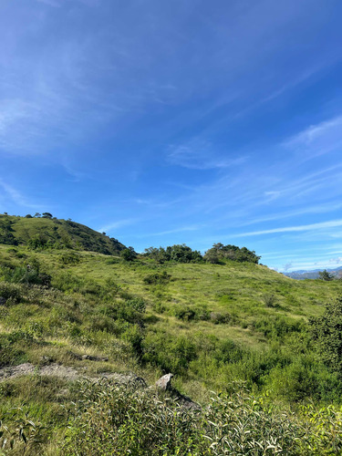 Lote En Venta Liborina Antioquia Precio De Remate