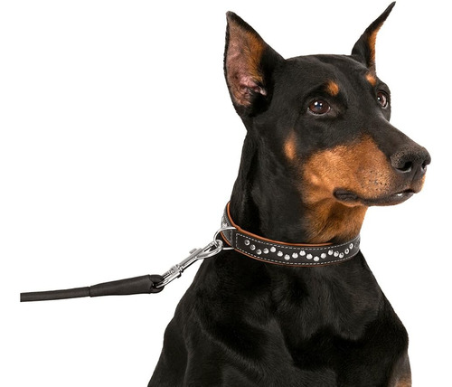 Collardirect Collar De Perro Con Tachuelas De Cuero Para Y Y