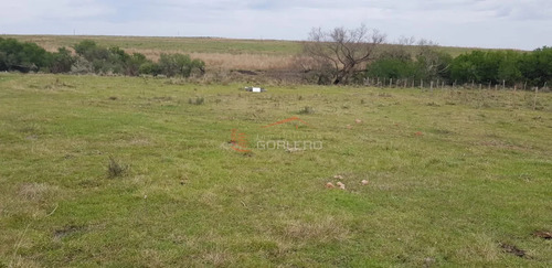 Campo Agricola-ganadero PaysandĂș De Casi 300 Has, Bien Ubicado Y Sobre Asfalto