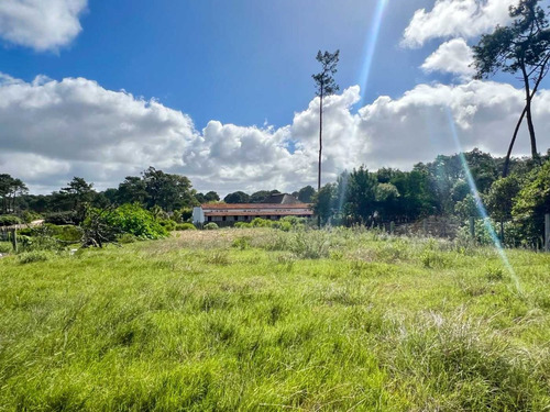 Venta Terreno En Chihuahua A Metros Del Mar