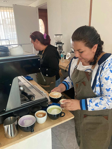Clases Barismo/bebidas Frías/bubbatea