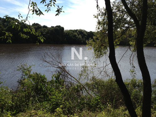 Venta De Chacra En Boca Del Rosario, Colonia