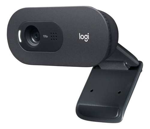 Camara Web Logitech C505e Hd 720p 30fps Con Micrófono Negro