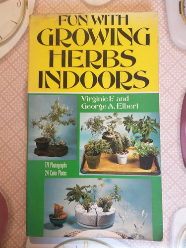 Fun With Growing Herbs Indoors - Virginie F george A Elbert 